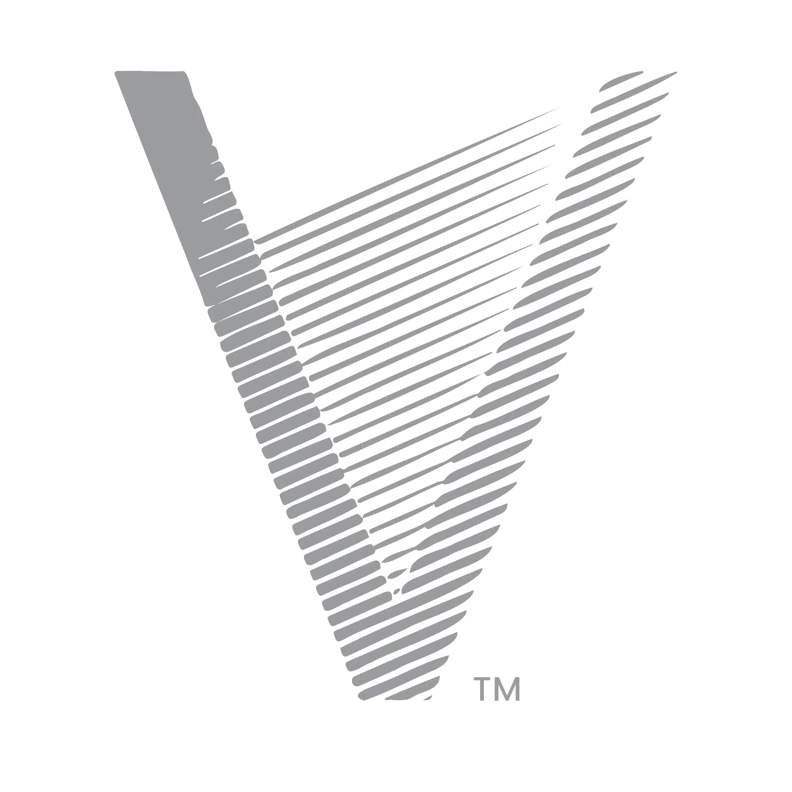 On The Verge logo
